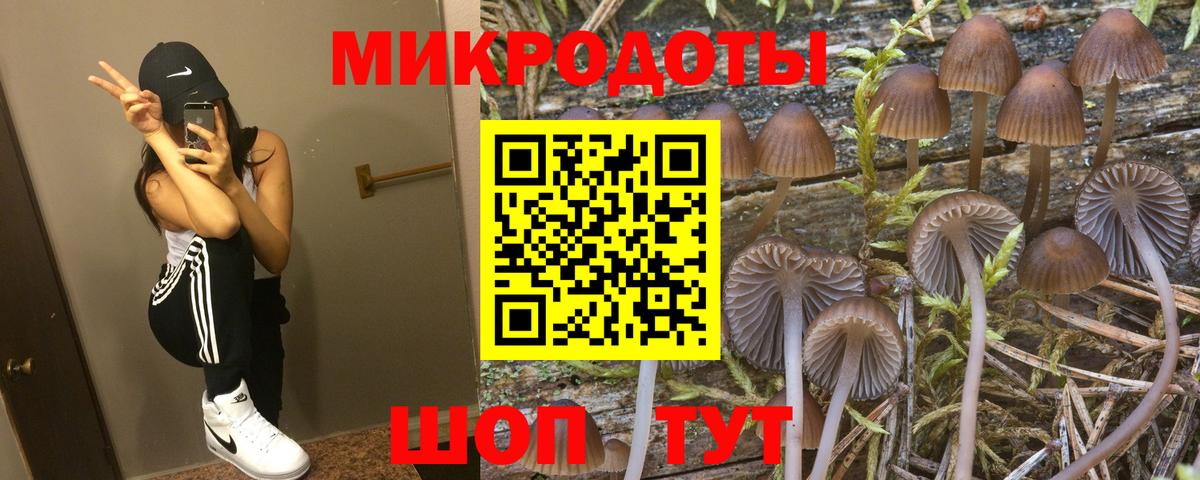 Галлюциногенные грибы Psilocybine cubensis  Вход с VPN  Вольск 